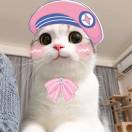 泡芙学习中 头像