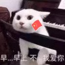 高羊羽 cium 头像