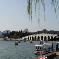 风雨无阻1203 头像