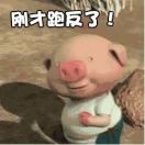 夏天 头像