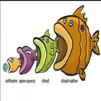 寡人犯错了 头像