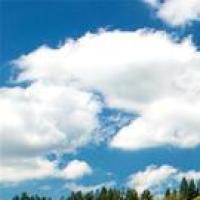 猕猴桃和小番茄是好朋友 头像