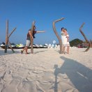 优雅的固执-Chens 头像