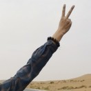 会飞的花生米 头像