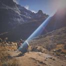 冬白失踪了 头像