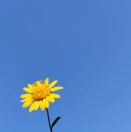 上海市网友 头像