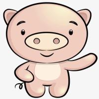 lazysheep2020 头像