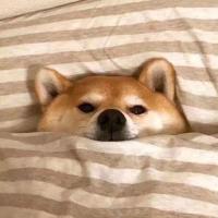 张裕 头像