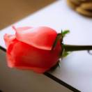 ～糖不离口^😘 头像