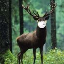 GODRUGDSOU¹ ² ³ 头像