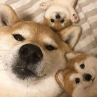 奔向未来的光 头像