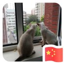 莫彦 头像