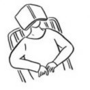 西红柿番茄 头像