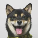 张长长จุ๊บ 头像