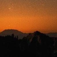 随风-清扬 头像