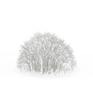 Lisa只。🥂 头像