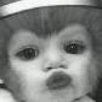 码码更健康 头像