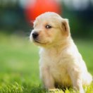 白航宇 BHY 头像