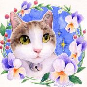 密斯唐菇凉 头像