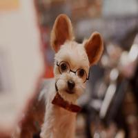 一曲相思a 头像