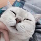 💋💋💋Silence is gold 默语 头像