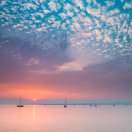 对方正在输入…… 头像