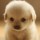 Popepy 头像