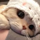 江南小水龟 头像