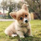 Childhood memory 头像