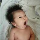 老板电器～刘衡 头像