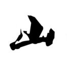 黄sir(工作) 头像