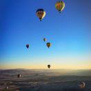 🌴SpringZou🌴 头像