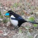 失而复得的时间 头像