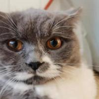 小齐要努力 头像