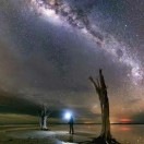 反手就是一记bug 头像