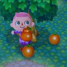 半甜的 太阳雨 头像