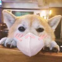 宋小帅去哪了 头像