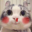 ccc明、、、 头像