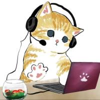 地方v得到 头像