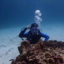 Gong Shouyong 头像