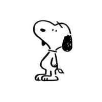 DaPeng²⁰²⁰ 头像