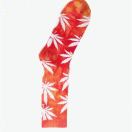 王金明(专业代下京东) 头像