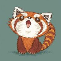 没事儿吸吸猫 头像