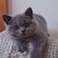 李昊奇lihaoqi 头像