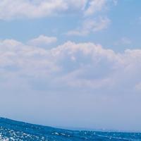 影子都是风的 头像