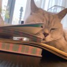 小徐吃不胖 头像