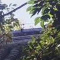 盛夏的骤雨 头像