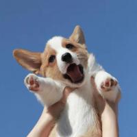 有一天就是今天 头像