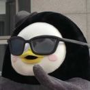 坡上一只肥鹅 头像