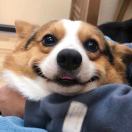 好名字可以让你朋友更容易记住你。 头像